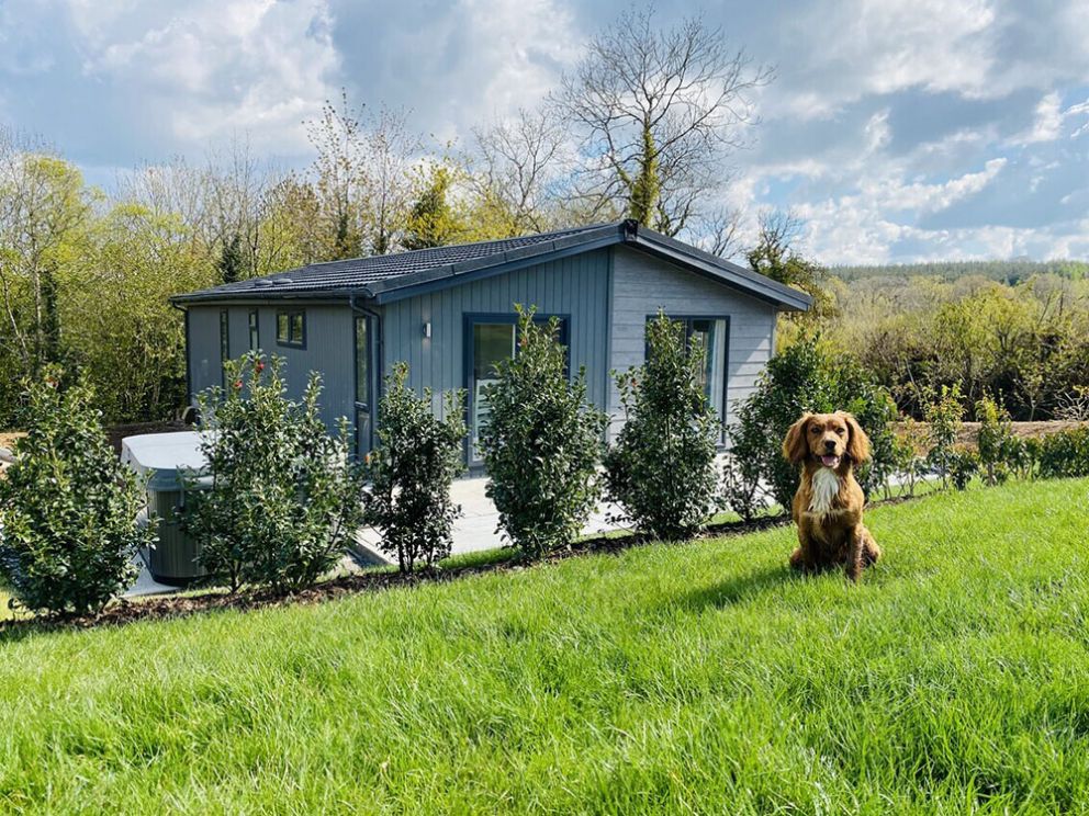 Roadford Lake pet friendly lodges in Devon