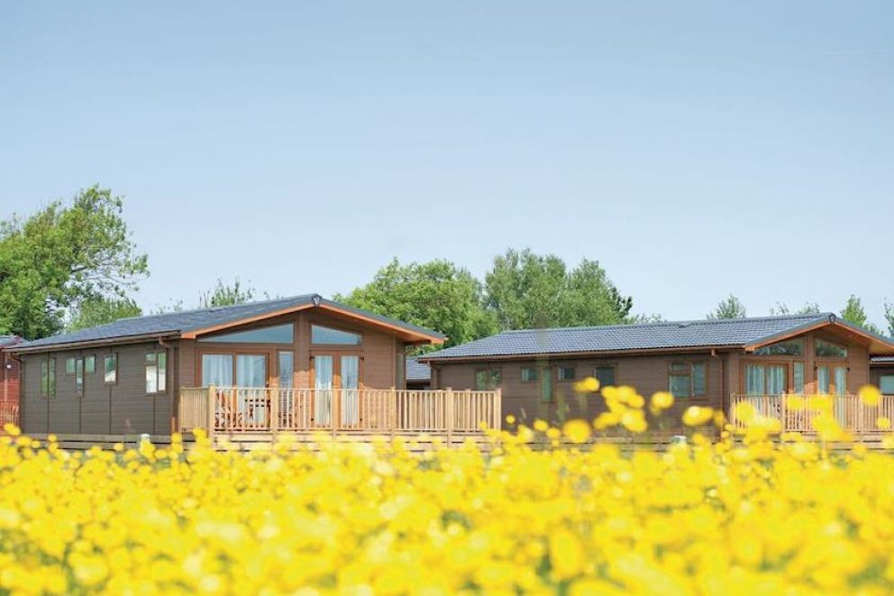 Sandy Meadows Somerset