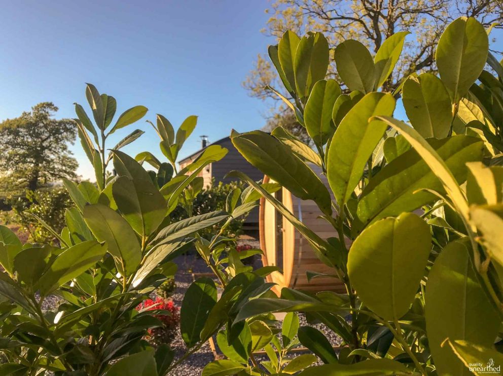 Shepherds Bliss Devon