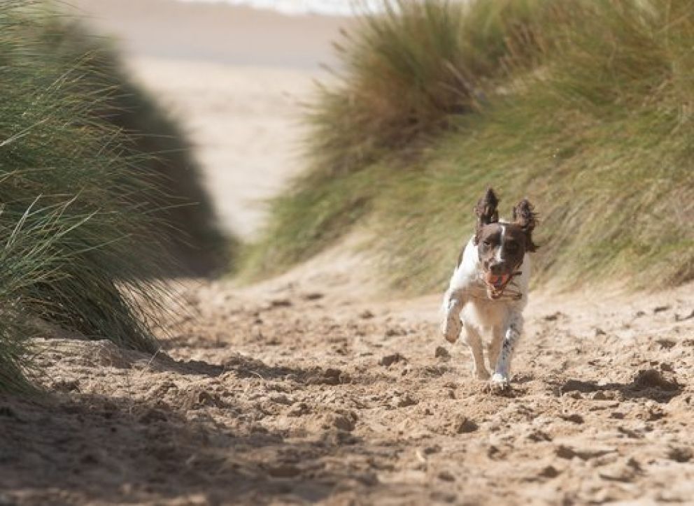 St Ives Bay Cornwall Hot tub holidays by the beach