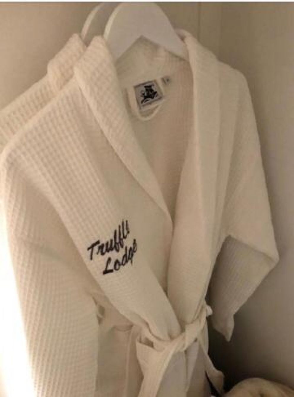 Truffle Lodge, Lindfield, West Sussex - lodge for rent with garden, terrace and barbecue