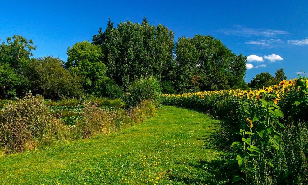 Twelve Oaks Farm Devon