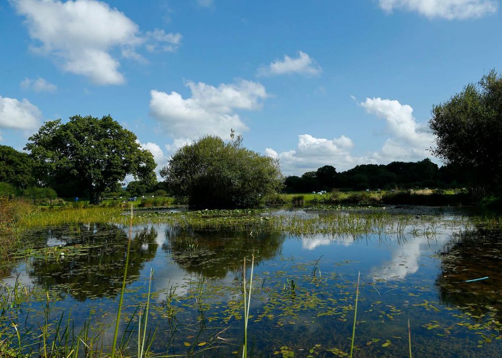 Twelve Oaks Farm Devon