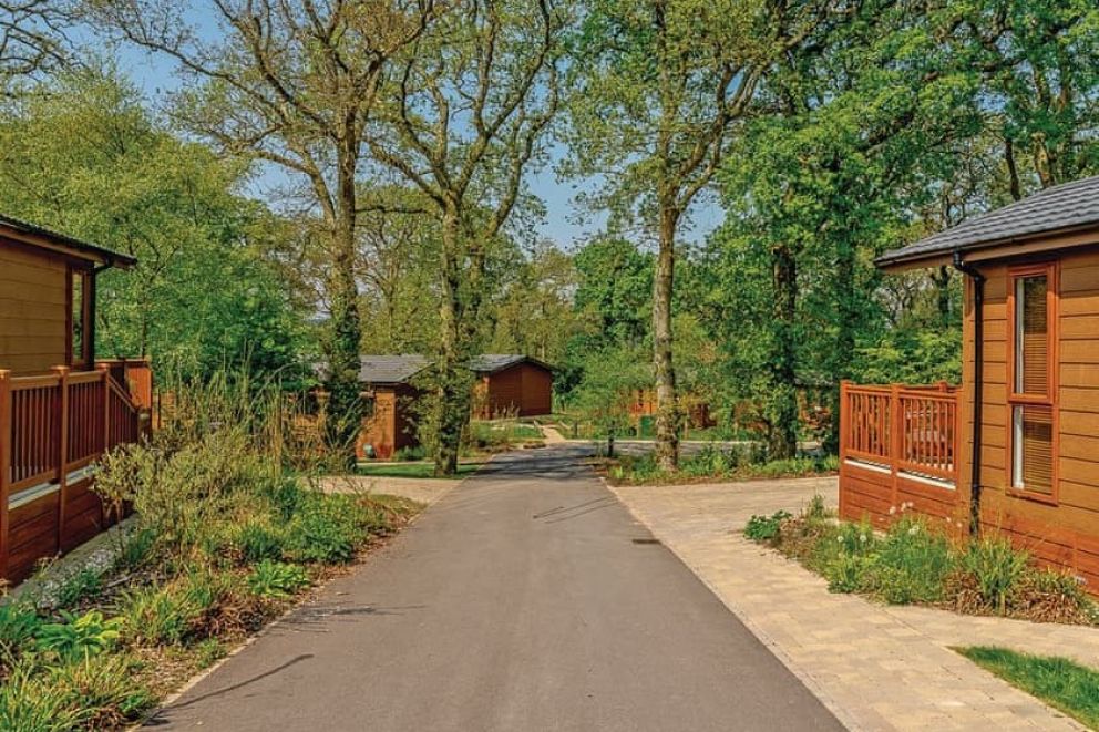 Wareham Forest Lodge Retreat Poole, Dorset Self Catering Holiday Lodges