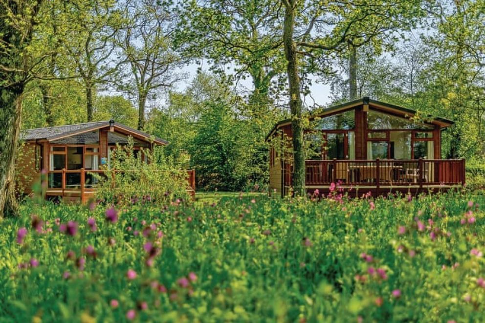 Wareham Forest Lodge Retreat Poole, Dorset Self Catering Holiday Lodges