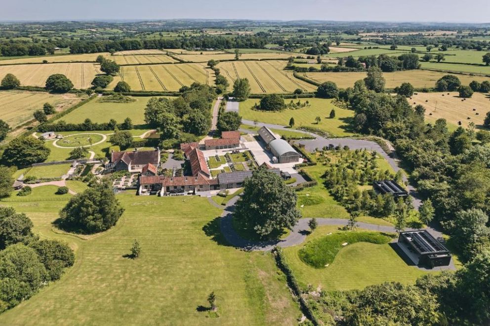 Whispering Leaves, Glastonbury