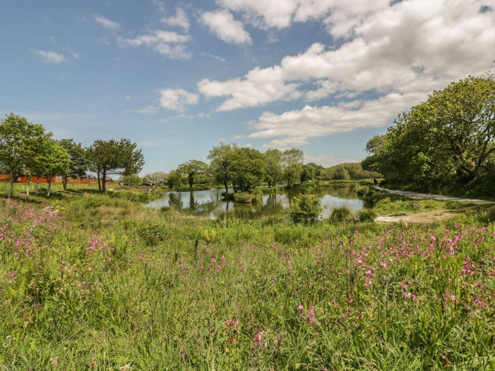 White Acres Cornwall Sykes