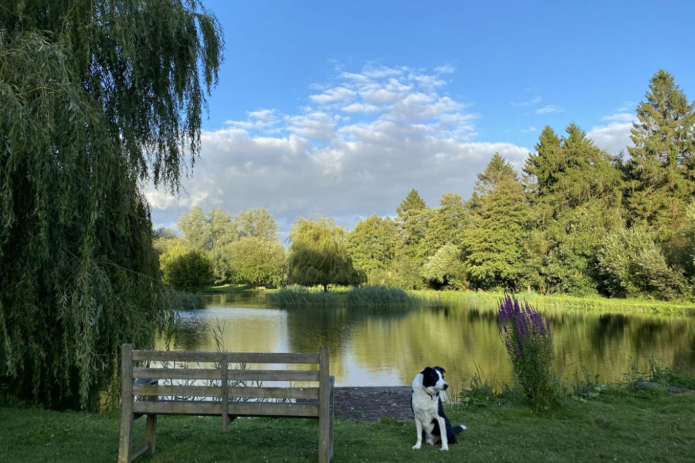 Willowbank Lodges Wiltshire