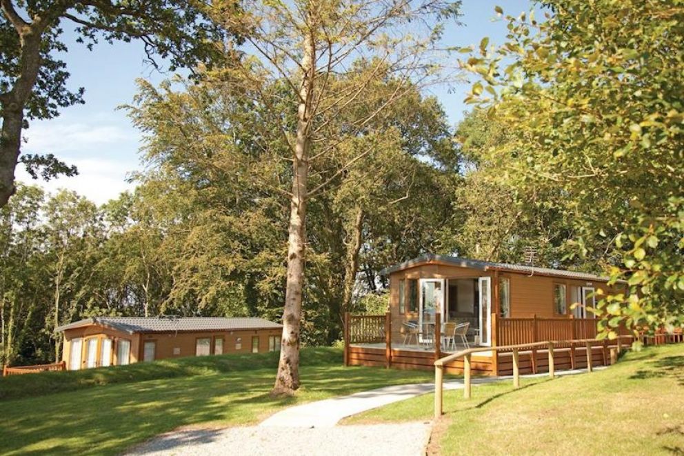 Woodbury Woods Devon