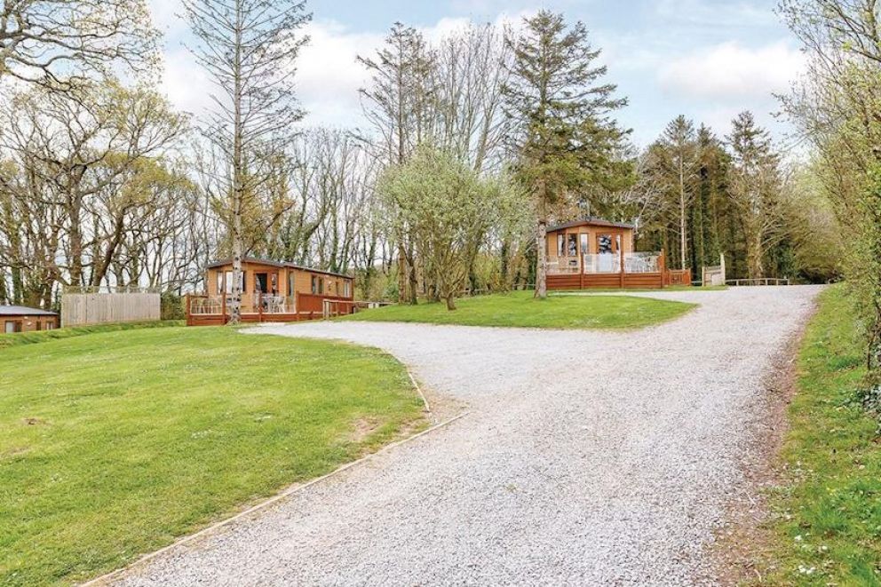 Woodbury Woods Devon