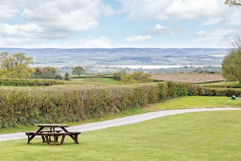Woodbury Woods Devon