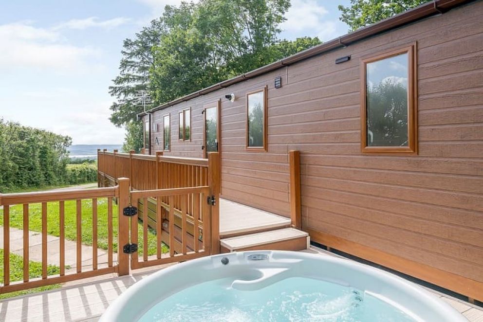 Woodbury Woods Devon