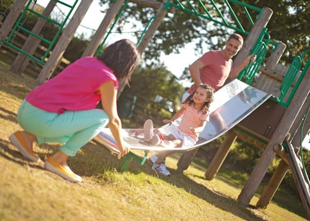 Woodbury Woods Devon