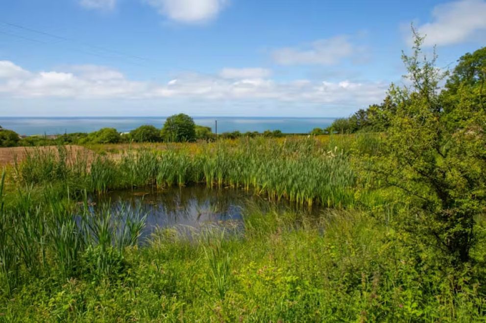 Estyn Y Dydd West Wales