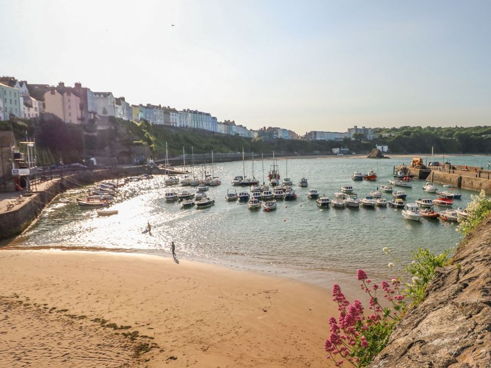 Fern & Willow Lodges Pembrokeshire