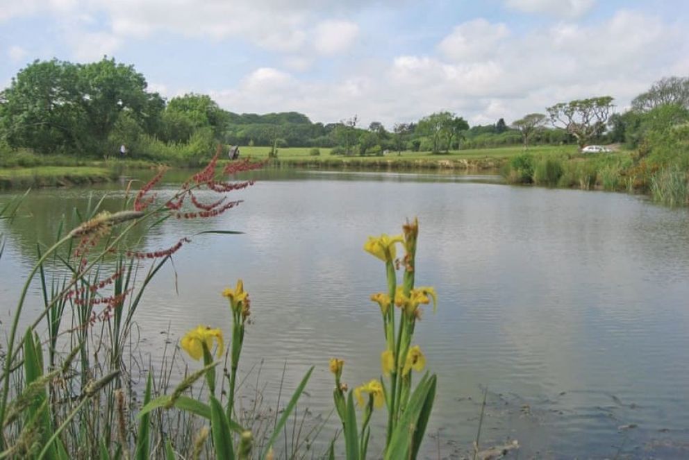 Florence Springs Glamping Pembrokeshire