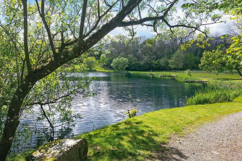 Garnffrwd Park