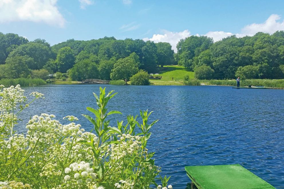 Garnffrwd Park