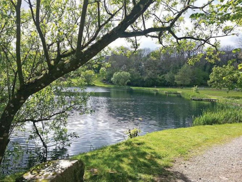 Garnffrwd Park Carmarthenshire