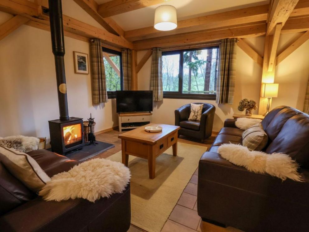 Lady Bagots Cabin in Ruthin, Wales for rent  - dog friendly, hot tub and wood burning stove in rural setting