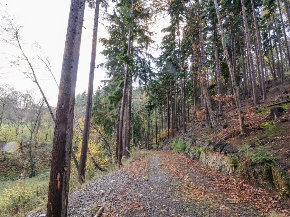 Lady Bagots Cabin in Ruthin, Wales for rent  - dog friendly, hot tub and wood burning stove in rural setting