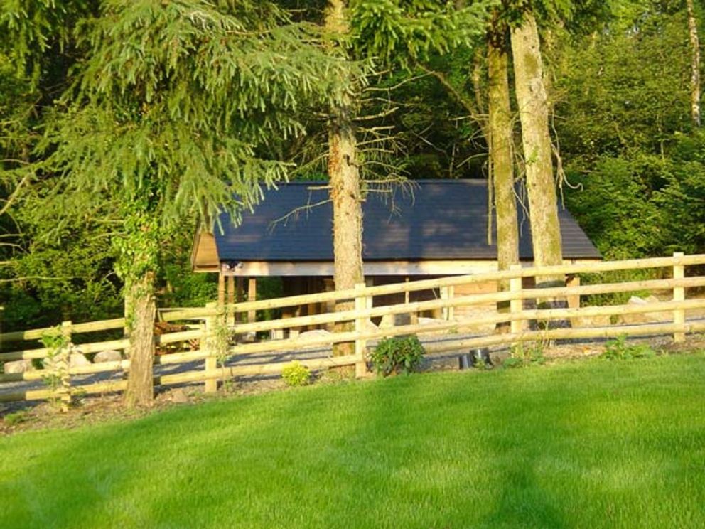 Little Trees Carmarthenshire