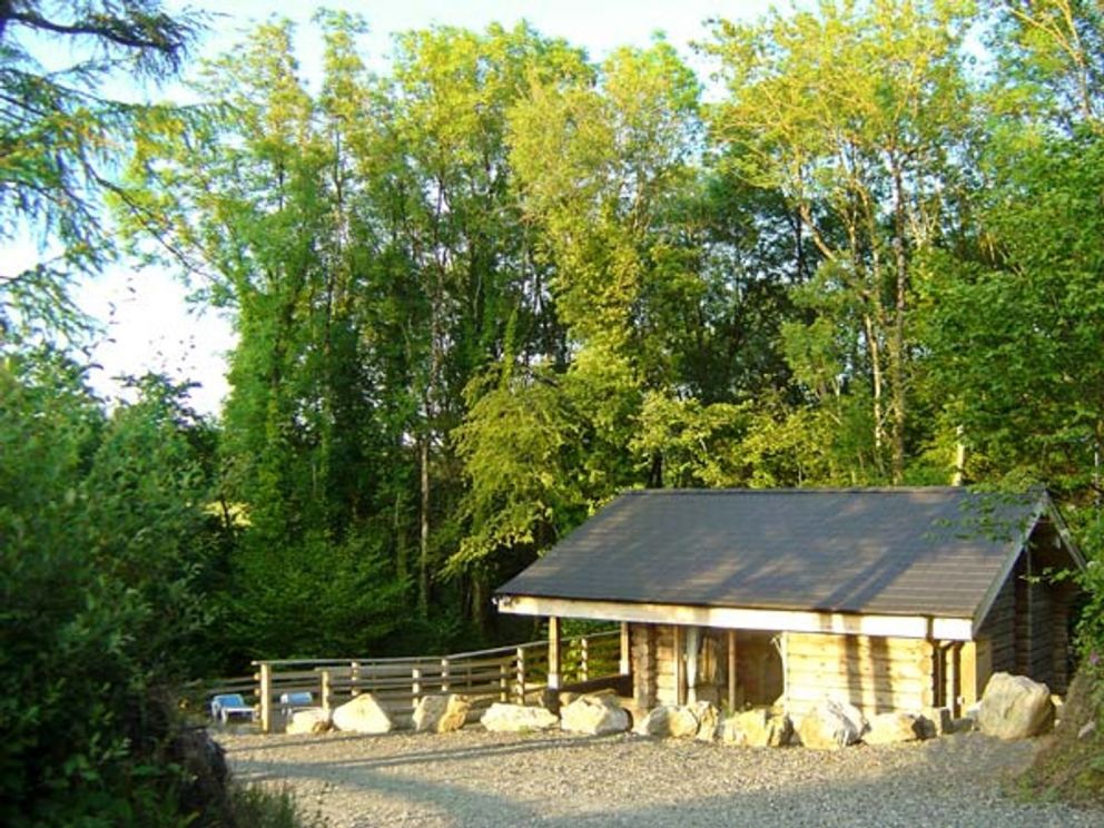 Little Trees Carmarthenshire