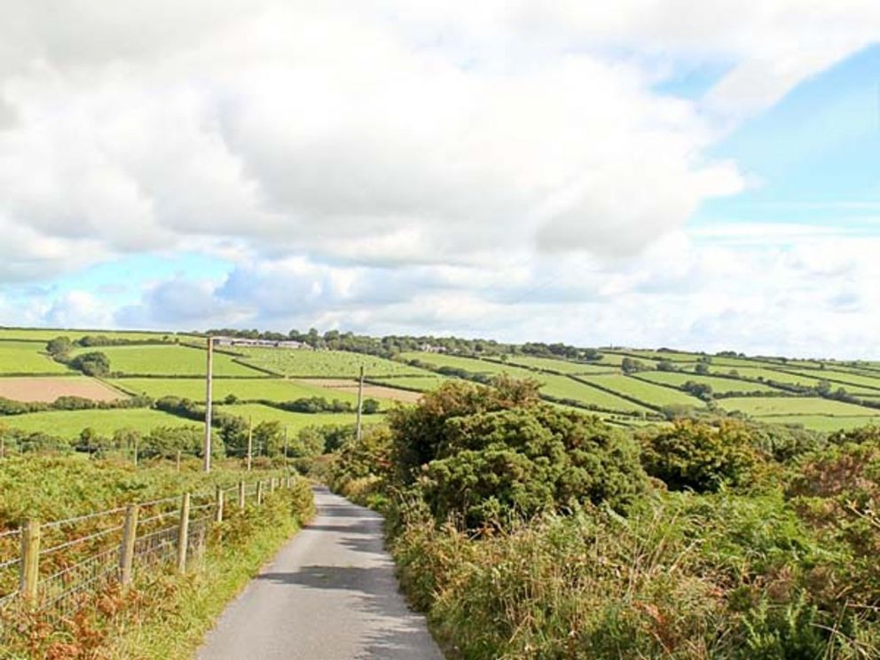 Little Trees Carmarthenshire