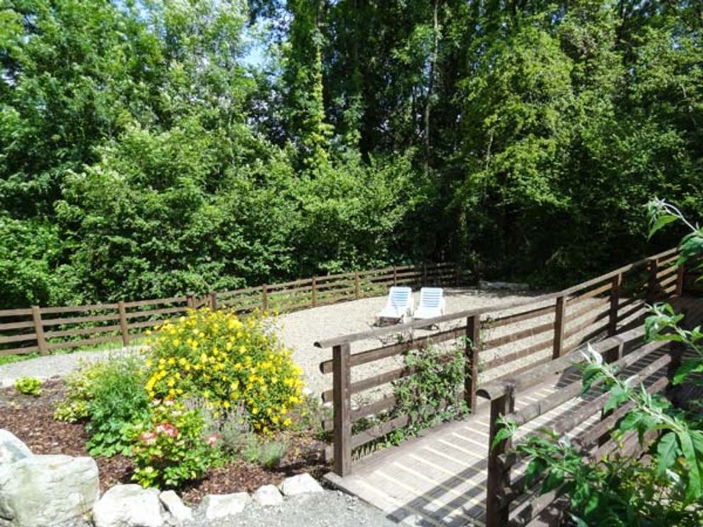 Little Trees Carmarthenshire