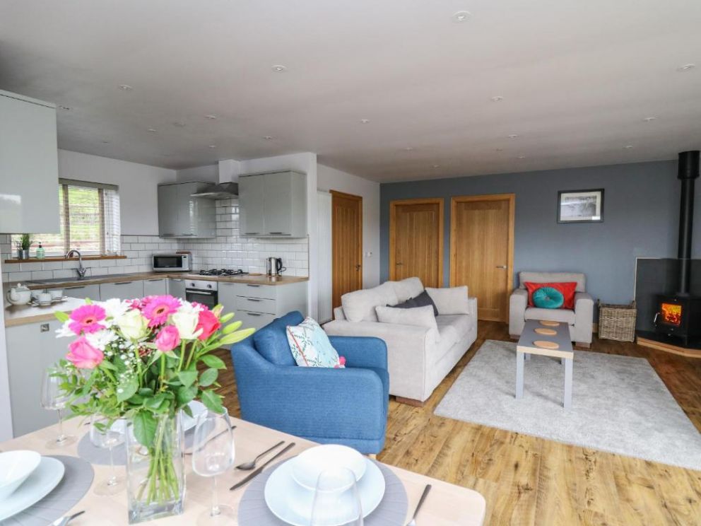 Llyn Cae Ty Nant Fishery Holiday Let, Lampeter, Ceredigion - holiday lodge with hot tub and wood burning stove in Mid Wales