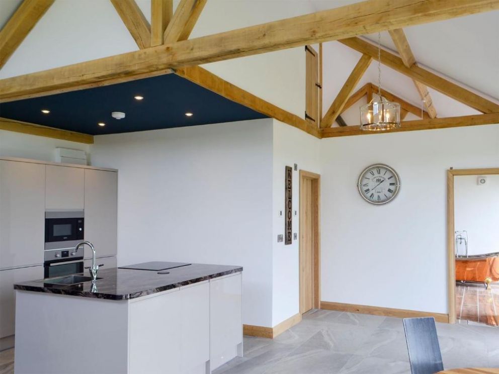 Oak View, Highgate, Powys - pet friendly holiday lodge with hot tub