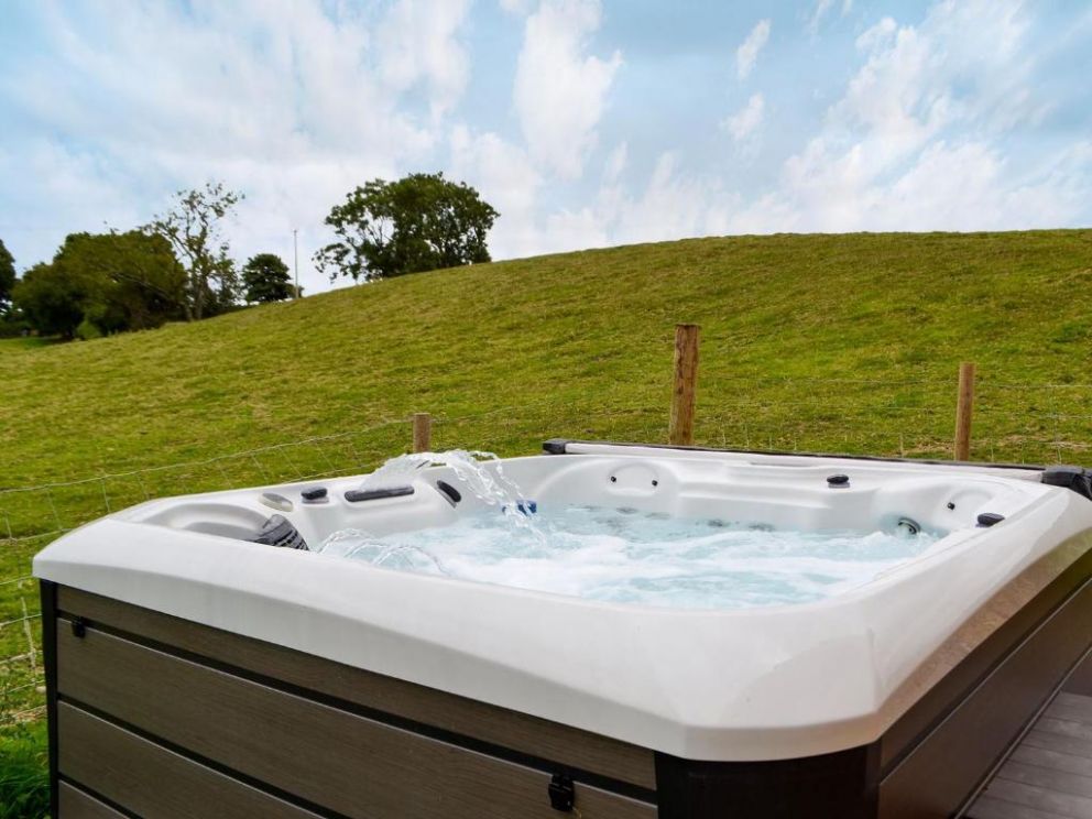 Oak View, Highgate, Powys - pet friendly holiday lodge with hot tub