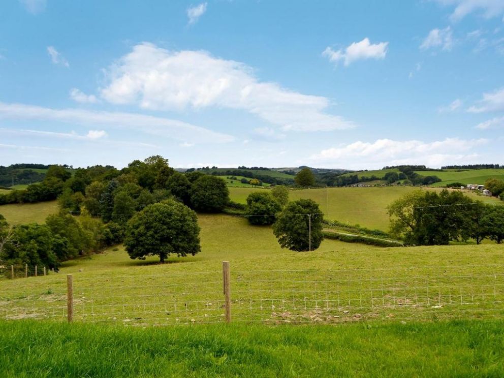 Oak View, Highgate, Powys - pet friendly holiday lodge with hot tub