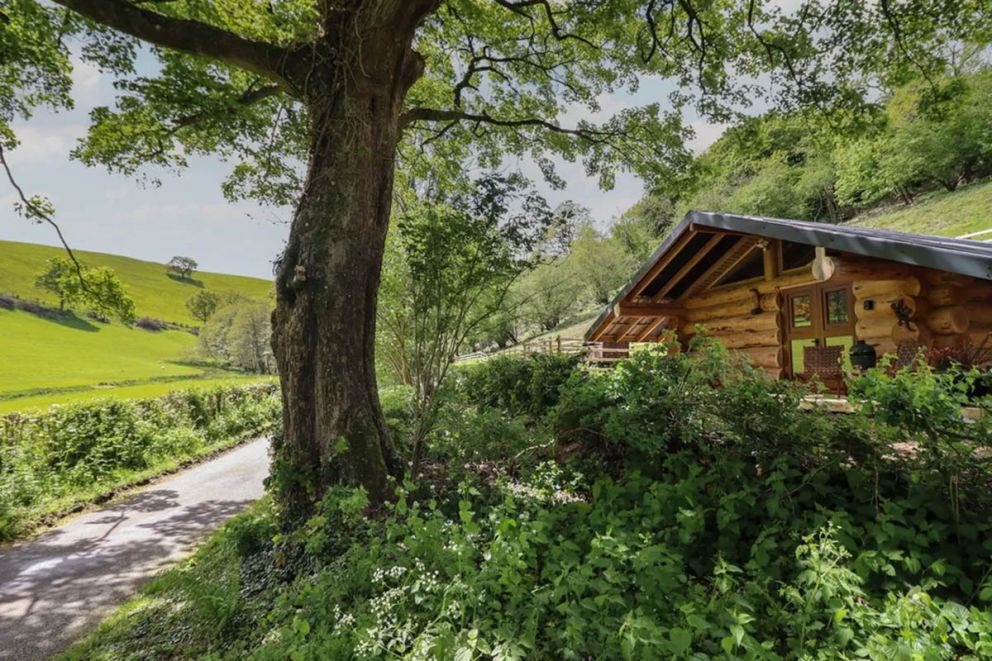 Owl Valley Cabin