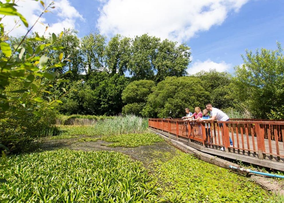 Pendine Sands Pembrokeshire