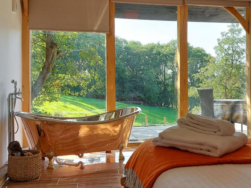 The Hideaway, Highgate, Powys - pet friendly holiday lodge with hot tub