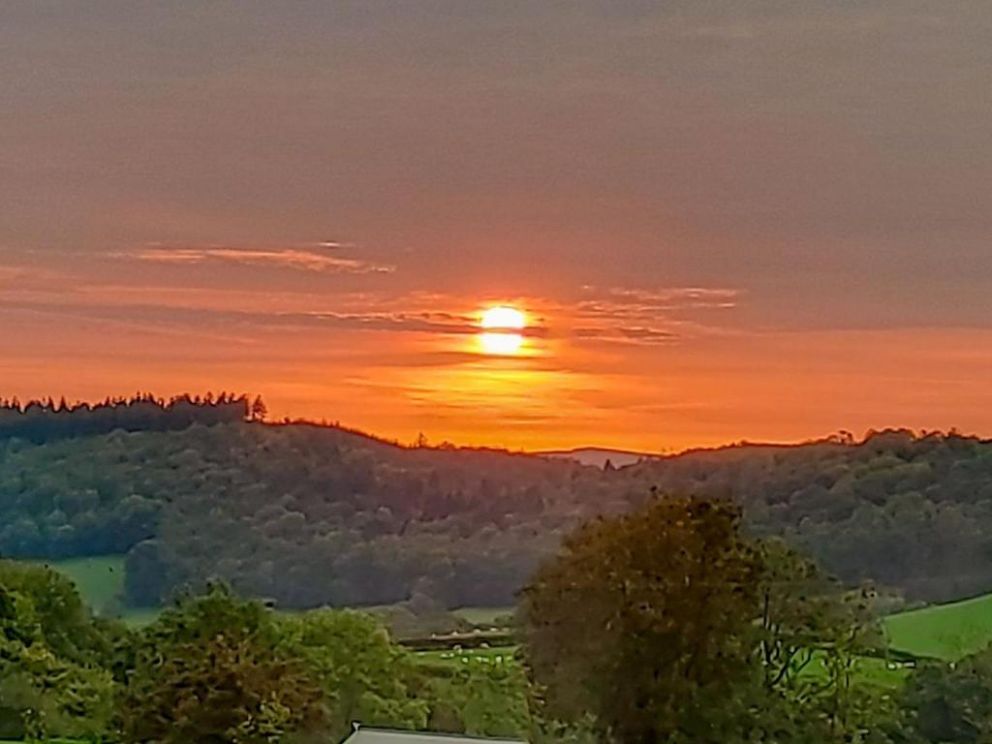 The Hideaway, Highgate, Powys - pet friendly holiday lodge with hot tub