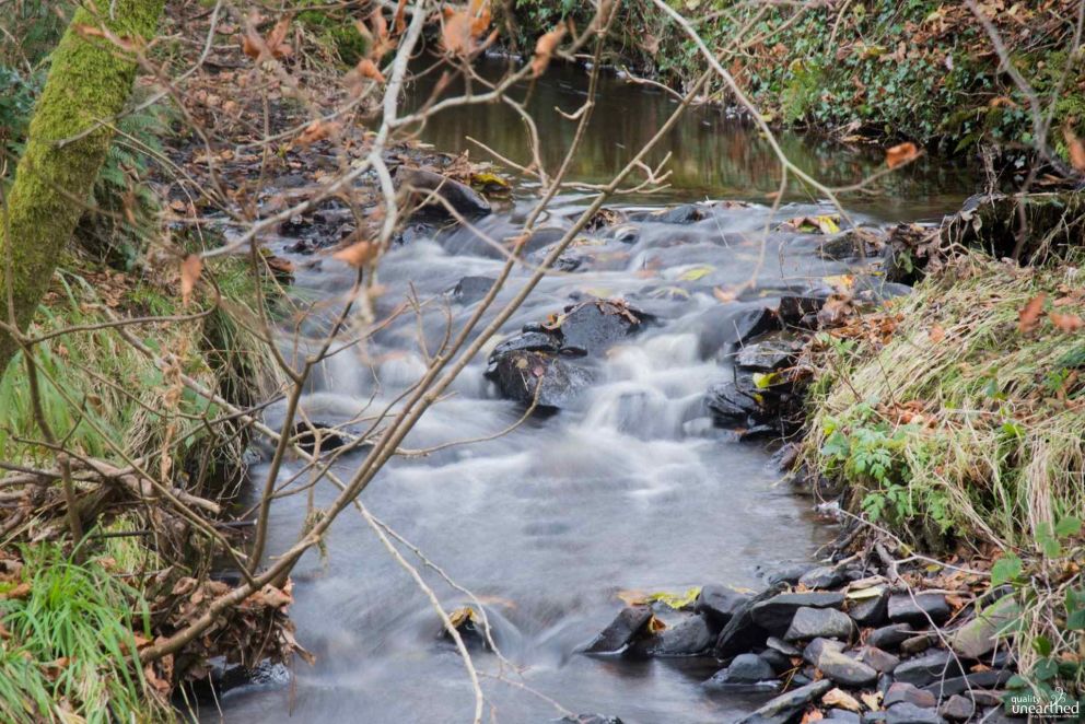 The Shire Ceredigion