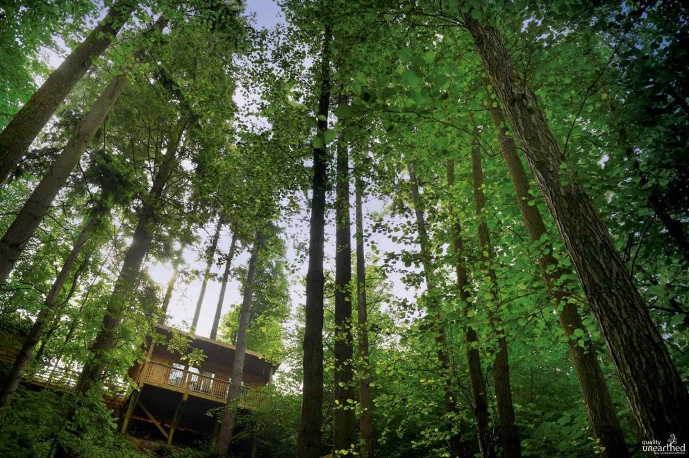 Treetop Cabin Redwood Valley Powys