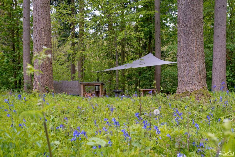 Treetop Cabin Redwood Valley Powys