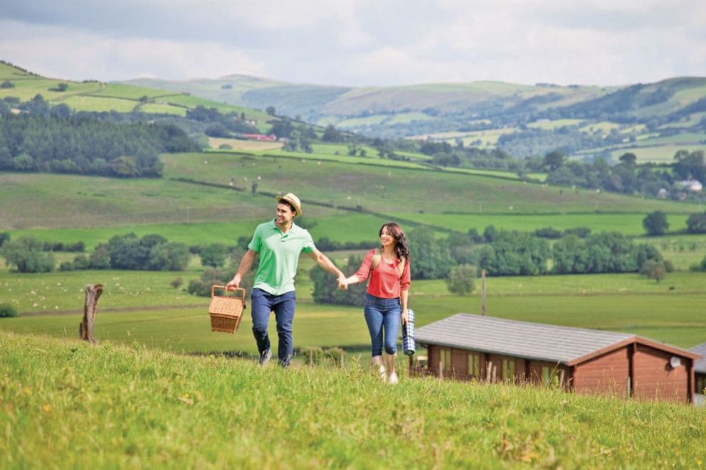 Trewythen Lodges
