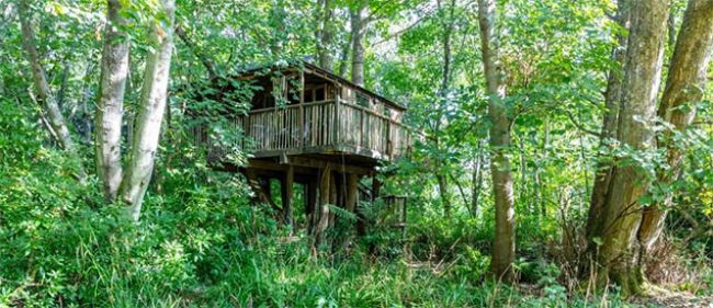 The Weird, the Wonderful, the Quirky, the Unusual holiday rentals